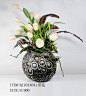琪珂插花花艺产品资料素材 - 插花花艺 - MT-BBS