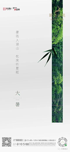 等等Syrup采集到节日节气