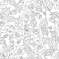 玫瑰无缝的背景