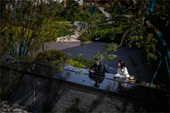 今天该抄哪个稿呢采集到园林