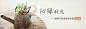 沁绿时光