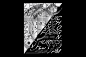 Behance-Pouya A.-Through A Glass Darkly Identity 010