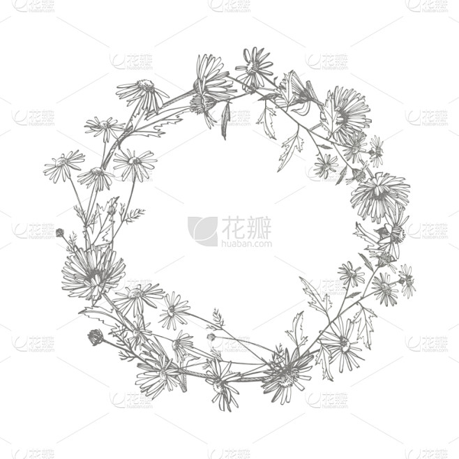 绘画插图,植物学,甘菊,动物手,植物群,...