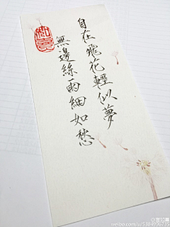 刀哥儿半路出家采集到字好帅