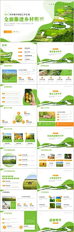 乡村振兴项目工作汇报ppt模板
承接定制，微信：zj19830653