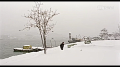 snglng采集到努里·比格·锡兰 Nuri Bilge Ceylan