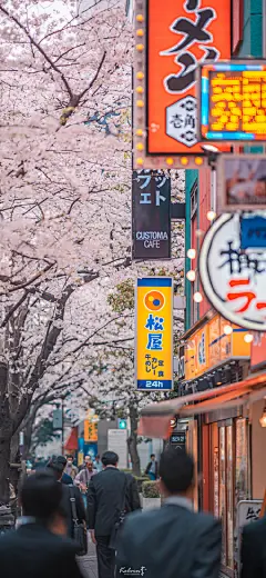 每天壁纸 每天好心情 日本的樱花#手机壁纸##手机壁纸无水印##樱花##日本樱花季##日本旅游# ​​​​