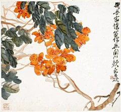 光迹采集到水彩-----植物