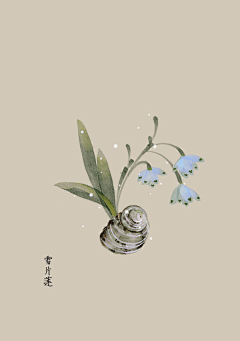 钢琴の精灵采集到生日花语