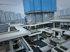 陈蕾O00采集到展示区景观