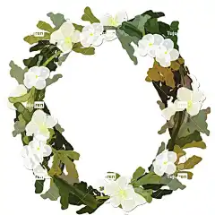 花朵 花壁纸 花圈 框架 边境 自然 花卉背景 美丽的花朵