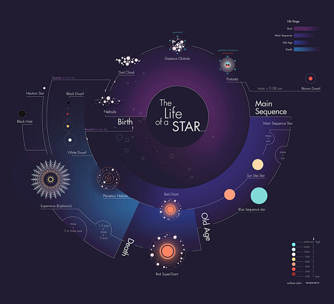 Infographic: The Lif...