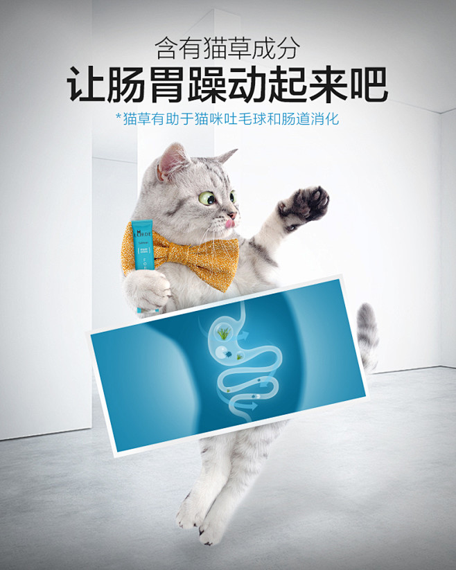 LORDE猫咪零食猫条猫罐头幼猫湿粮妙鲜...