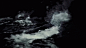 2015 #BLANK诗和远方# (35) ｜海.GIF