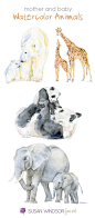 Watercolor animals - Mother and Baby - by Susan Windsor: 