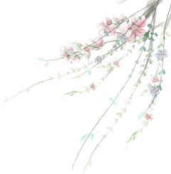 古风素材 花 免扣