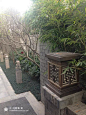 飞狐的QQ空间 [http://896907314.qzone.qq.com]
