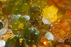 水面上漂浮着五颜六色的、黄色的油滴。