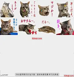 line贴图表情包shakemi  shakemi的日记，|shakemi s diary.@飞天胖虎