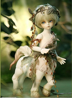 Checkwon采集到Doll