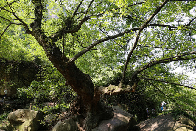 九华天池 - 池州市风景图片特写第5辑 ...