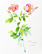午后-夏小茶Melody__涂鸦王国插画