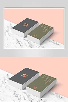 商务风简约风名片样机