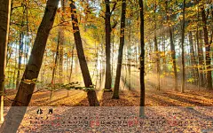 百度图片搜索_2012年10月日历壁纸的搜索结果