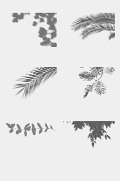 mqy0If04采集到叶子阴影
