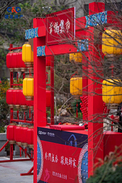 moril采集到美陈