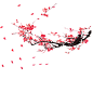 梅花 (52)
