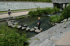 过去11采集到小水景