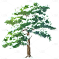传统节气小雪大雪冬天冬日中国风插画积雪植物