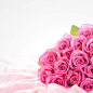 唯美粉色玫瑰花背景图