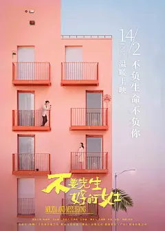 不要先生与好的女士 海报