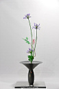 花器：华善窖大圆喇叭立花瓶；花型：生花～新风体；花卉：百子莲、矾根、白株树