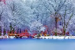 冬季湖面桥海报背景雪景高清素材 网页 页面网页 平面电商 创意素材