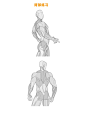背部结构和背部肌肉画法__6_大木画画工作室_来自小红书网页版