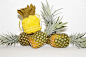 sub_895_north_982x_white.gif (982×655)