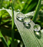 Water droplets.