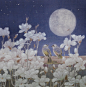 王艳利工笔花鸟画作品选
