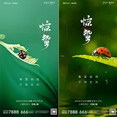 简约房地产企业公司24二十四节气惊蛰春分朋友圈海报PSD素材模板-淘宝网