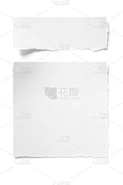 纸