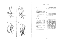小黑点采集到伯里曼 - 人体构造