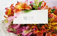 六出花,灯丝,印加人文明,自然,贺卡,留白,水平画幅,雄蕊,无人,色彩鲜艳