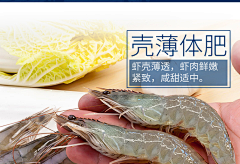 27uHY采集到海参