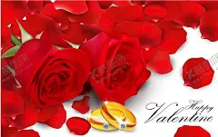 情人节玫瑰花 【酷图网】情人节玫瑰花,戒指,金戒指,玫瑰花,情人节英文,立体心形,3d爱心,3d心形,七夕节海报,礼物,矢量礼物,卡通礼物,手绘礼物,礼物插画,情人节素材,爱心背景,爱心,矢量爱心,爱心剪影,手绘爱心,爱心插画,立体爱心,曲线背景,情人节,情人节元素,情人节背景,七夕节,七夕节元素,七夕节素材,七夕节背景,