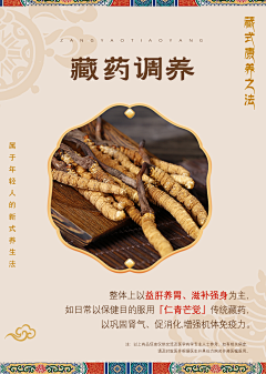 改了一万遍还是用初稿采集到汉方风格参考