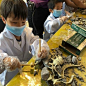 爆款儿童恐龙考古挖掘玩具拼装模型化石