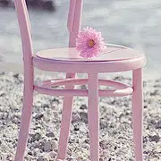 Lone-azalea